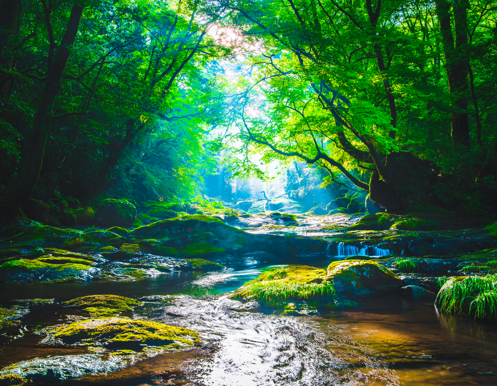 Nature's Glory